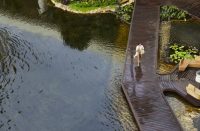 Westin Hotels & Resorts