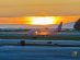 Amerian Airlines at YVR - Vancouver International Airport - 27 May 2025