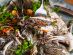 JATI Koh Russey - Beach Club Night BBQ Seafood menu - Locally Sourced Reef Fish - Seabass USD40