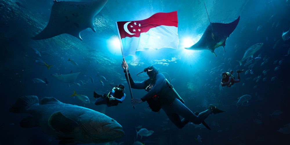 Ties That Bind Photo Showcase (Photo credit: Singapore Oceanarium, Resorts World Sentosa)