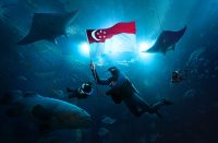 Ties That Bind Photo Showcase (Photo credit: Singapore Oceanarium, Resorts World Sentosa)