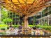 D Jungle Bar at DINSO Resort and Villas, Phuket