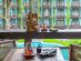 Afternoon tea with a view at D Jungle House at DINSO Resort and Villas, Phuket