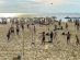 Beach Volleyball at Karon Beach. Photo taken on 23 February 2025