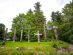 Totem Poles at Brockton Point in Stanley Park