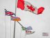Canadian Flags in Prospect Point