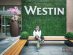 The Westin Bayshore in Vancouver Canada