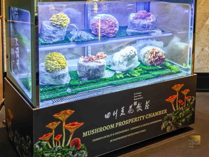 DINE - Sichuan Dou Hua x Yang Ming Springx Nishikane August 2025 -182947 | SUPERADRIANME.com Assorted mushrooms grown indoor