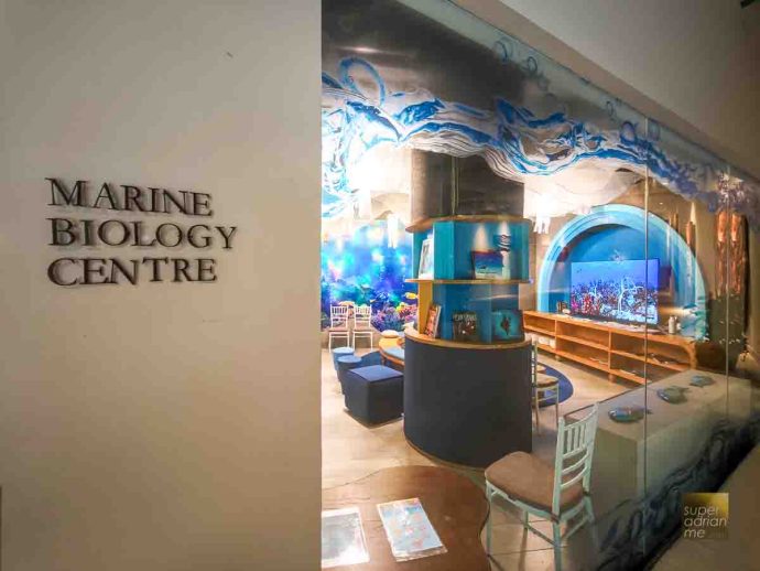 Marine Discovery Centre at AYANA Komodo Waecicu Beach | SUPERADRIANME.com Marine Discovery Centre at AYANA Komodo Waecicu Beach