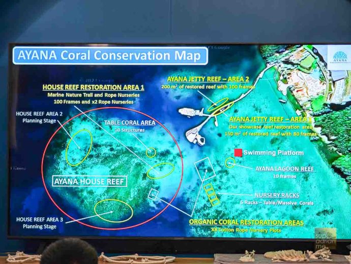 Marine Discovery Centre at AYANA Komodo Waecicu Beach | SUPERADRIANME.com Marine Discovery Centre at AYANA Komodo Waecicu Beach