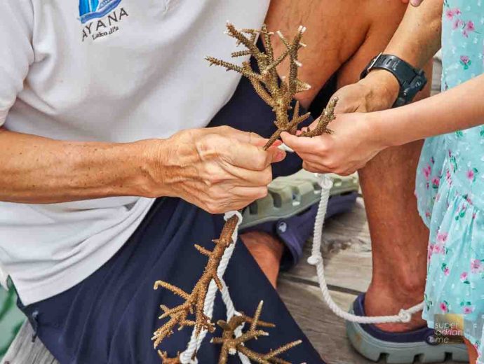 Ayana Komodo Waecicu Beach - July 2025 -115308 | SUPERADRIANME.com