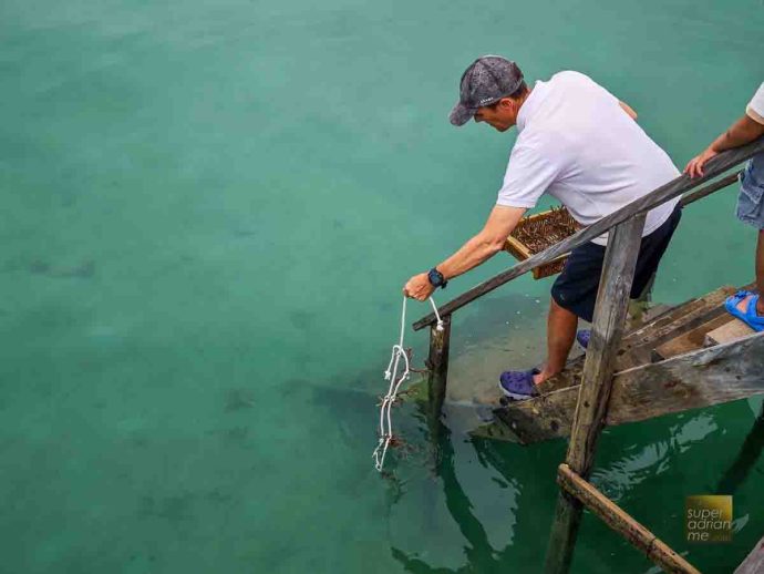 Ayana Komodo Waecicu Beach - July 2025 -115715 | SUPERADRIANME.com AYANA Cares - KOMODO - resident marine biologist Lee Miles