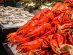 Lobsters at the buffet spread at Estate in Hilton Singapore Orchard Lobsters at the buffet spread at Estate in Hilton Singapore Orchard