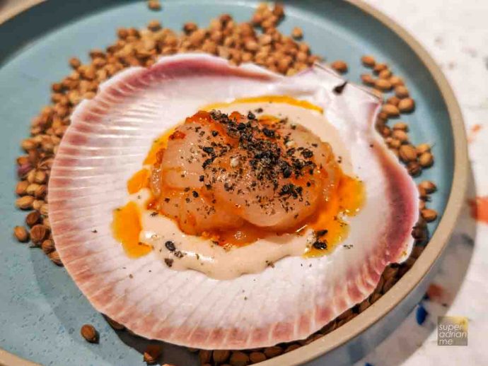 Abrolhas Scallop paired with 'Perfect Day' Sauvignon Blanc Semillon