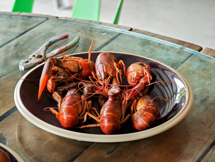 Lobsters from Heartel Farm in Shoufeng Township in Hualien County IMG_20250722_093741-EDIT | SUPERADRIANME.com Lobsters from Heartel Farm in Shoufeng Township in Hualien County