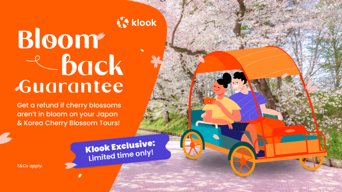 Bloom Back Guarantee Key Visual | SUPERADRIANME.com Bloom Back Guarantee Key Visual