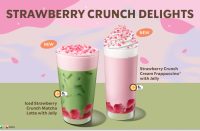 Strawberry Crunch Delight (Starbucks photo)