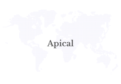 apical-1 | SUPERADRIANME.com