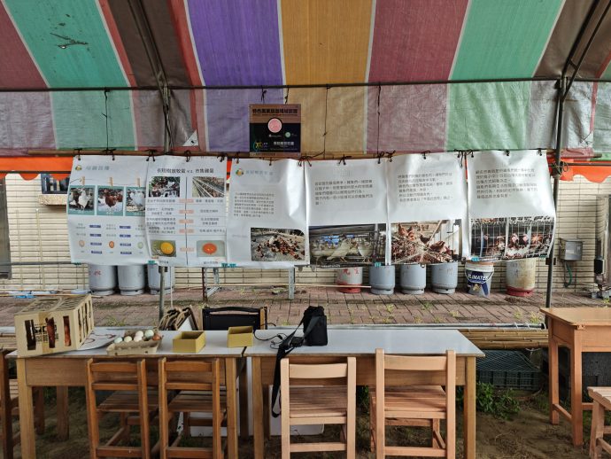 Classroom Setting at Tree Egg Chicken Farm