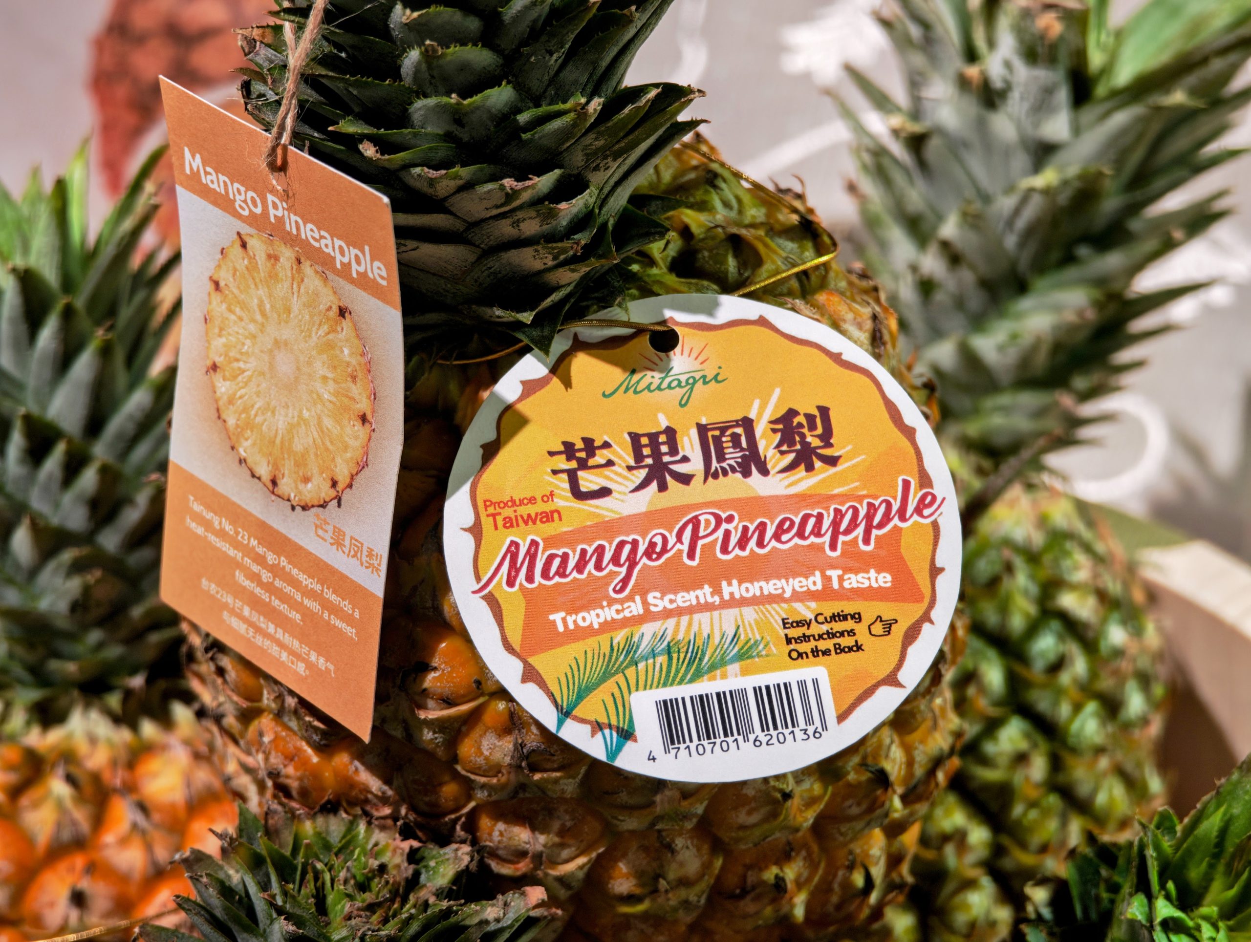 Mango-Pineapple Tainung No. 23 
