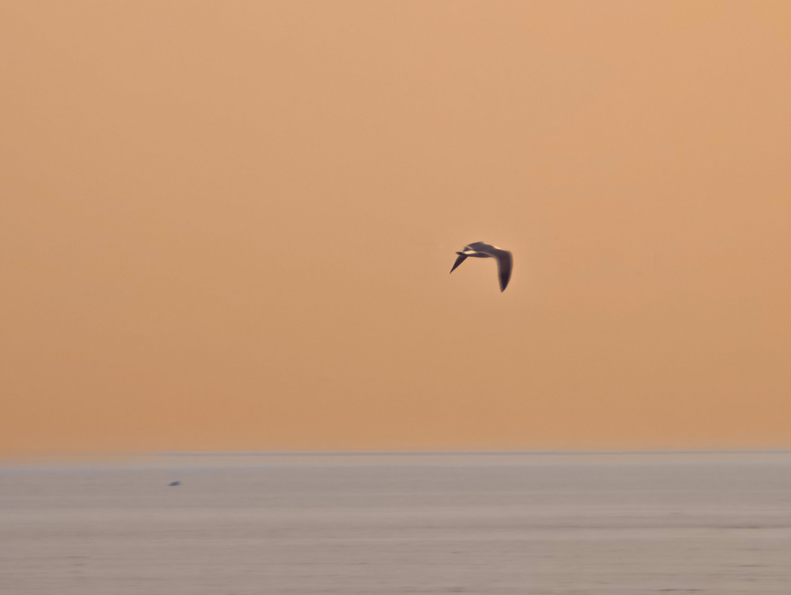 Beautiful sunset hues at Qinhuangdao