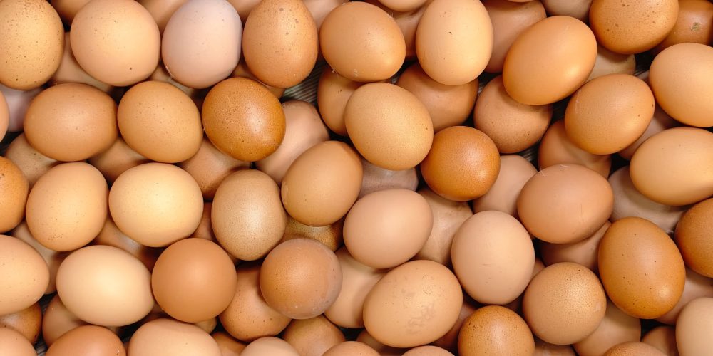 Chicken Eggs | SUPERADRIANME.com Chicken Eggs