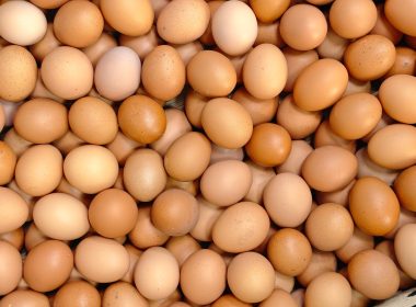 Chicken Eggs
