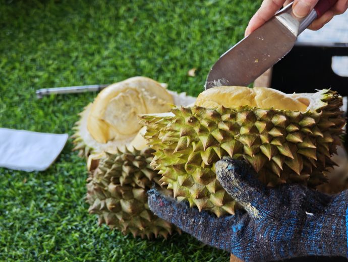 De shelling Durians | SUPERADRIANME.com De shelling Durians