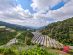 SUPERADRIANME – ZENXIN ORGANIC FARM TOUR – July 2026 -101633 Farms in Cameron Highlands