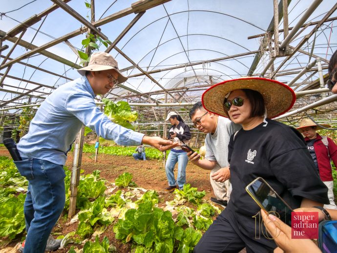 SUPERADRIANME - ZENXIN ORGANIC FARM TOUR - July 2026 -110916 | SUPERADRIANME.com