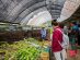 SUPERADRIANME – ZENXIN ORGANIC FARM TOUR – July 2026 -173945 #image_title