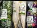 SUPERADRIANME – Zenxin Produce in Singapore Supermarkets -164203 #image_title