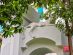 SUPERADRIANME – JW Marriott Phu Quoc Emerald Bay – July 2026 -060716 #image_title