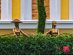 SUPERADRIANME – JW Marriott Phu Quoc Emerald Bay – July 2026 -070533 #image_title
